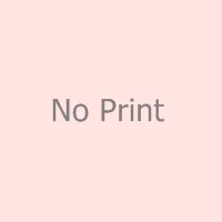 No Print